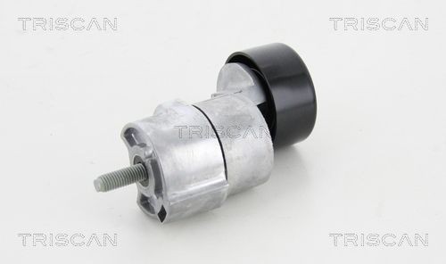 TRISCAN Spannarm, Keilrippenriemen 8641 433006 Riemenspanner TRISCAN Hyundai COUPE 8641 433006