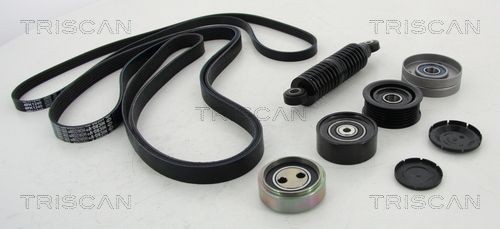 TRISCAN Poly V-riem set 8642 29022 8642 29022 TRISCAN Poly v riemen kit Audi goedkoop