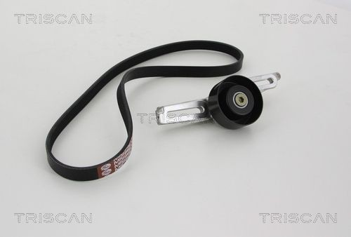 TRISCAN Fjær 8750 6843 8750 6843 TRISCAN Fjærer Subaru billige