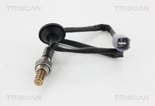 TRISCAN Lambdasonde 8845 13040 8845 13040 Lambdasonde TRISCAN TOYOTA COROLLA