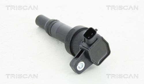 TRISCAN Bobine d'allumage 8860 43044 Hyundai GENESIS Bobine cylindre TRISCAN 8860 43044