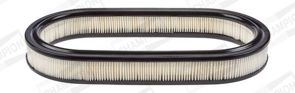 CHAMPION Légszűrő CAF100226R CHAMPION CAF100226R Szűrők Escort Mk5 Hatchback (AAL, ABL)