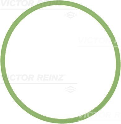 REINZ Inlet manifold gasket 71-40513-00 Volkswagen POLO REINZ inlet manifold gasket 714051300