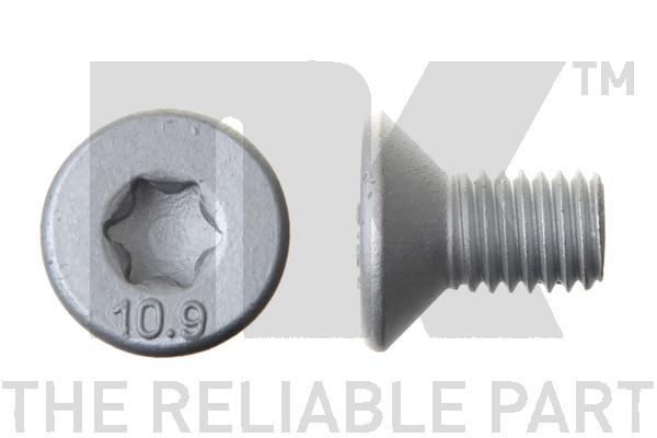 NK Schroef, remschijf 89011669 Schroef, remschijf NK 208 89011669 goedkoop