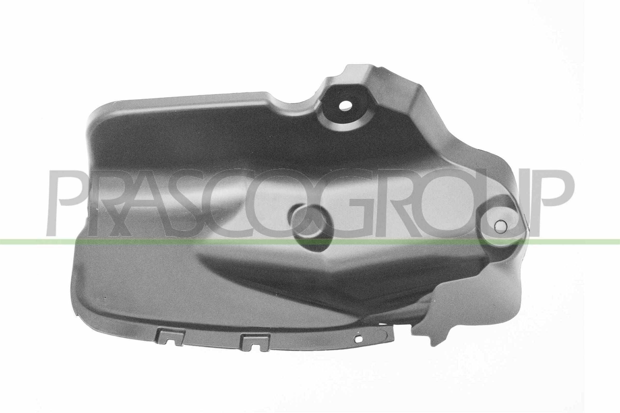 Hjulskjerm PRASCO DS2693004 PRASCO DS2693004 Frontskjerm NISSAN PATROL 2019