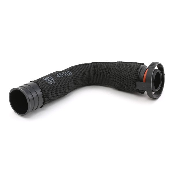 FEBI BILSTEIN Flessibile, Scarico aria copritestata 45319 FEBI BILSTEIN 45319 costo Tubo flessibile, scarico aria copritestata VW Golf Alltrack originale