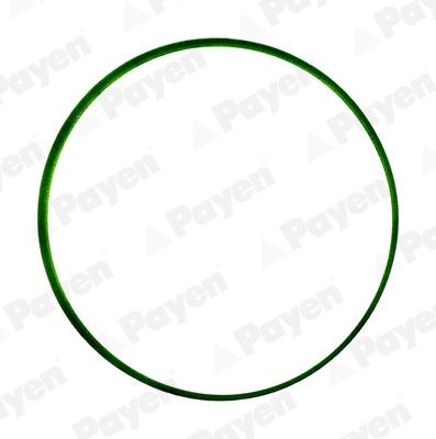PAYEN Inlaatspruitstuk pakking JD6034 Jaguar S-TYPE Inlaatspruitstuk pakking PAYEN JD6034