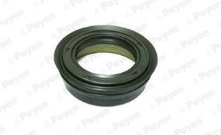 PAYEN Wellendichtring, Differential NJ689 Wellendichtring, Differential PAYEN Opel OMEGA NJ689
