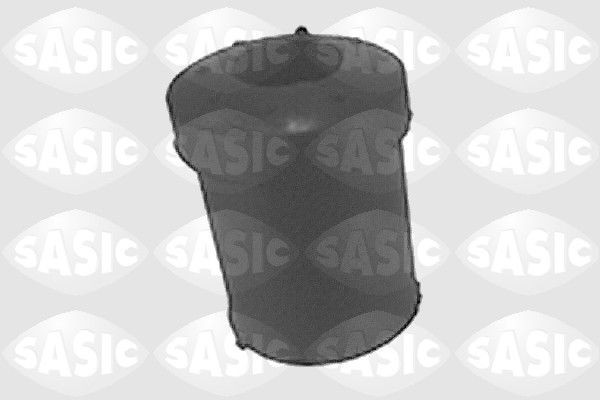 SASIC Lagerung, Blattfeder 4005519 4005519 Blattfeder SASIC PEUGEOT 504