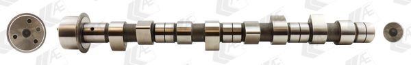 AE Camshaft CAM681 AE CAM681 genuine Iveco Daily II Platform camshaft price