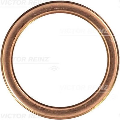REINZ Anello di tenuta, vite di scarico olio 41-72066-30 41-72066-30 costo Guarnizione tappo coppa olio Volkswagen PASSAT REINZ