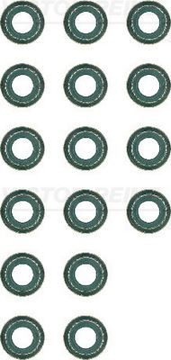 Blīvju komplekts, Vārsta kāts REINZ 12-36903-01 REINZ 12-36903-01 Blīvgredzens vārsta kāts LAND ROVER DISCOVERY 2000
