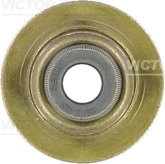 REINZ Paraolio valvole 70-38546-00 REINZ 70-38546-00 Paraolio valvole JAGUAR prezzi originali