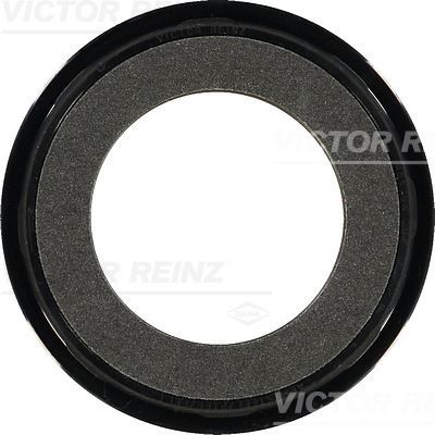 REINZ Retentor, cambota 81-34062-00 REINZ 81-34062-00 Retentor, cambota