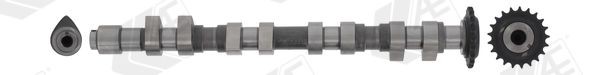 Albero a camme AE CAM744 AE CAM744 costo Albero a camme Audi TT 2003