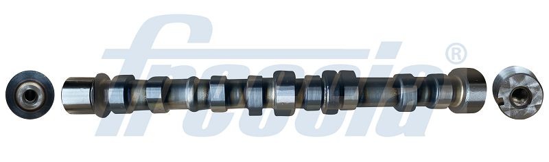 FRECCIA Εκκεντροφόρος άξονας CM05-2110 FRECCIA CM05-2110 Εκκεντροφόρος Siena τιμες