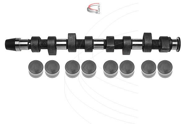 CAMPRO Sada vačkového hriadeľa CP60208 CP60208 Vačkový hriadeľ AUDI 80 CAMPRO