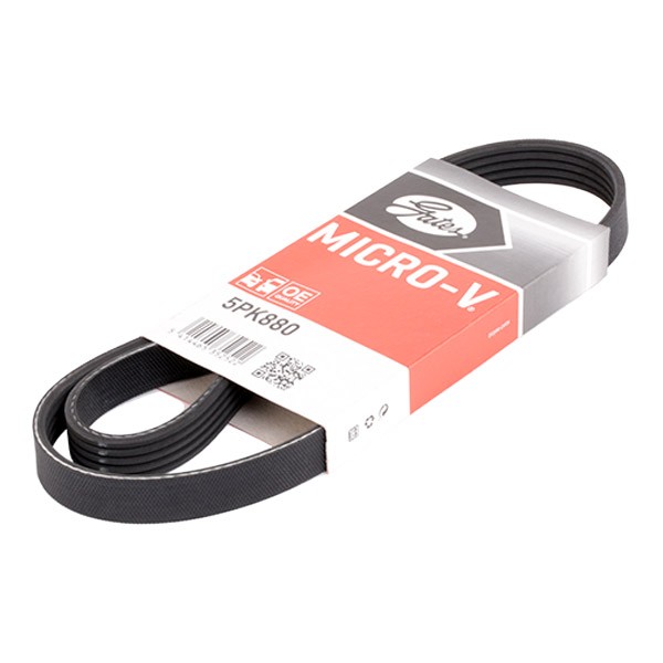 GATES Correia trapezoidal estriada 5PK880 GATES 5PK880 originais Correia trapezoidal estriada Toyota Corolla Compact custo