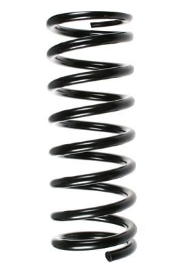 SPIDAN Molle ammortizzatori 48169 SPIDAN 48169 Molle ammortizzatori Mercedes W123 prezzo