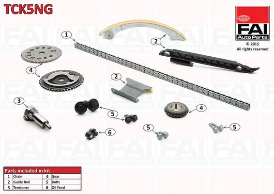 FAI AutoParts Styrekædesæt TCK5NG Styrekæde FAI AutoParts STELVIO TCK5NG billig