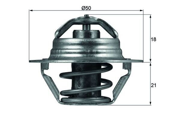 MAHLE Termostat, kjølemiddel TX 100 89D Termostathus MAHLE DACIA TX 100 89D
