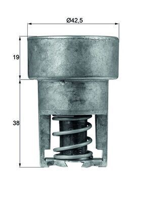 MAHLE Termostat, kjølemiddel TX 98 82 TX 98 82 Termostat RENAULT KANGOO MAHLE