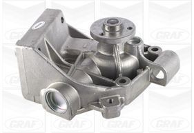 GRAF Vandpumpe PA454 GRAF PA454 originale Fiat Ducato Panorama 290 Vandpumpe hvad koster