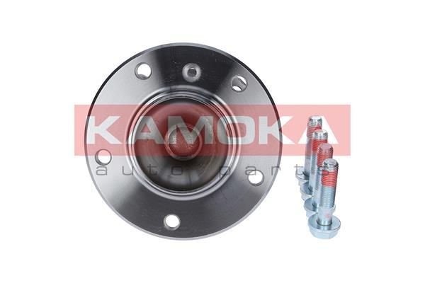 KAMOKA Kit cuscinetto ruota 5500133 5500133 Cuscinetto ruota FORD USA CROWN VICTORIA KAMOKA costo