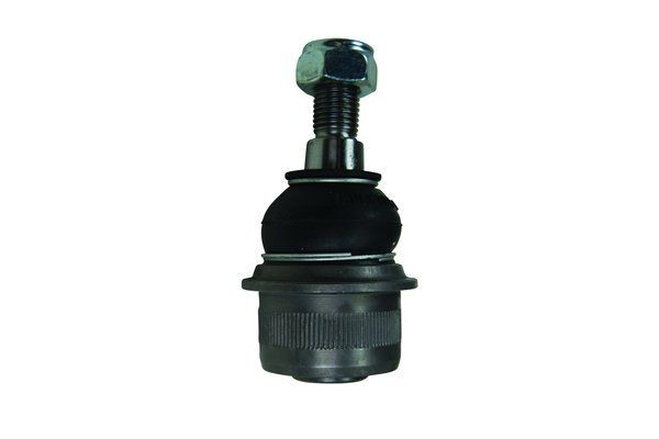 TRUCKTEC AUTOMOTIVE Spindelled 02.31.041 Mercedes C215 Spindelled TRUCKTEC AUTOMOTIVE 02.31.041