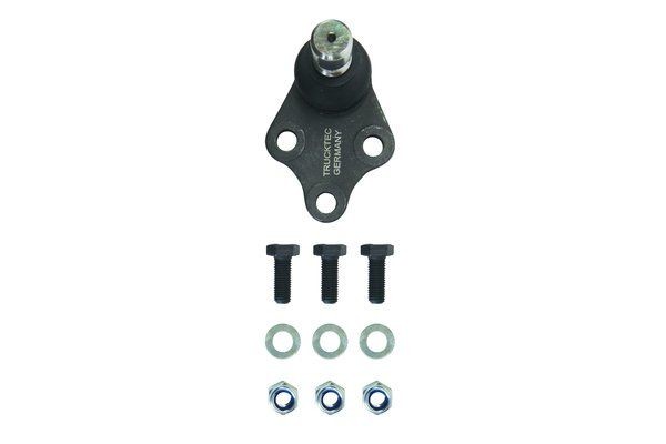 TRUCKTEC AUTOMOTIVE Spindelled 02.31.099 02.31.099 TRUCKTEC AUTOMOTIVE Kulled Mercedes-Benz