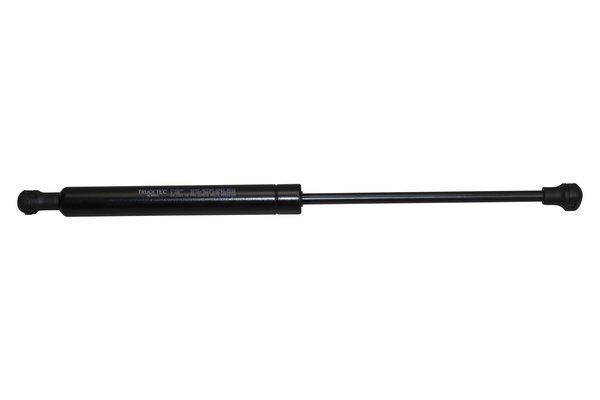 TRUCKTEC AUTOMOTIVE Ammortizatore pneumatico, Cofano bagagli / vano carico 08.62.016 08.62.016 Pistoni portellone TRUCKTEC AUTOMOTIVE BMW Serie 1 costo