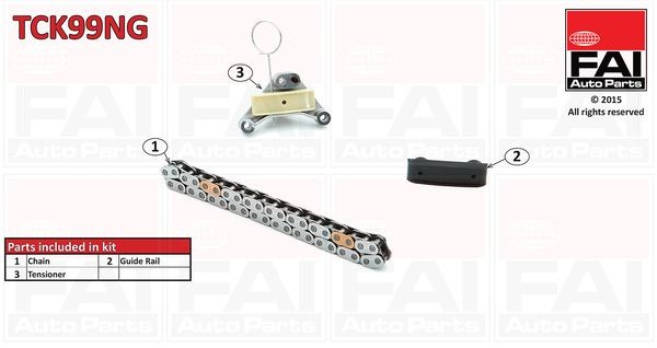Styrekædesæt FAI AutoParts TCK99NG FAI AutoParts TCK99NG: Styrekæde Peugeot 307 2012
