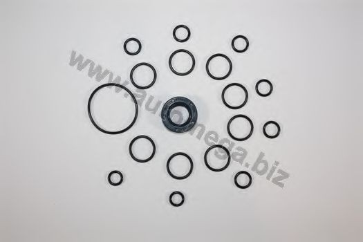 AUTOMEGA Sada tesnení hydraulic. čerpadla 301980049026B AUTOMEGA Servo čerpadlo 301980049026B skúsenosti
