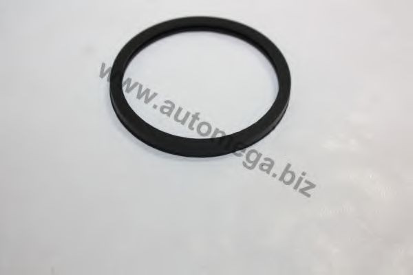 AUTOMEGA Guarnizione, Termostato 1013380215 1013380215 costo Guarnizione di tenuta acqua raffreddamento OPEL MERIVA AUTOMEGA