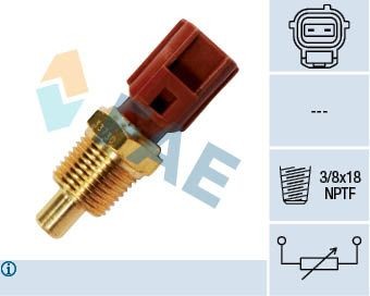 FAE Sensor, temperatura do líquido de refrigeração 33730 Sensor de temperatura do motor FAE Ford TRANSIT 33730