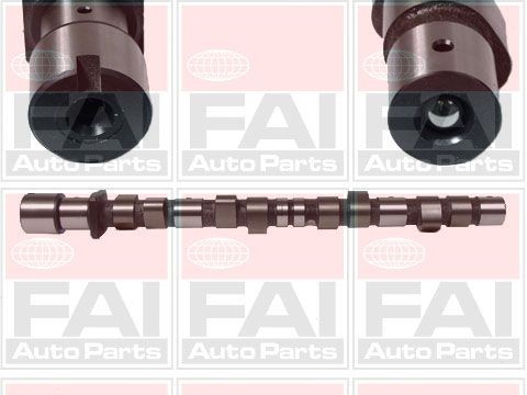 FAI AutoParts Arbre à came C175 FAI AutoParts C175 Arbre à cames BMW E30 Cabriolet prix