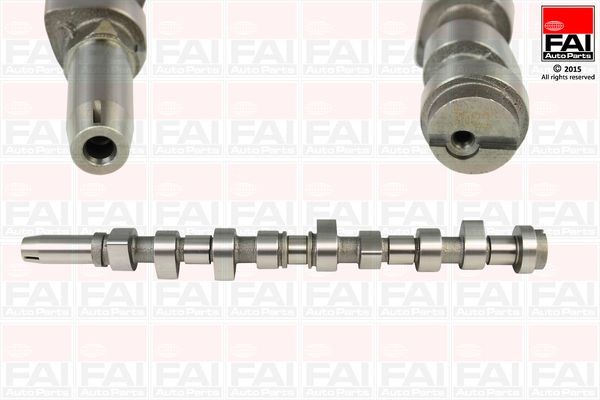 FAI AutoParts Εκκεντροφόρος άξονας C214 Εκκεντροφόρος άξονας FAI AutoParts BMW X2 C214
