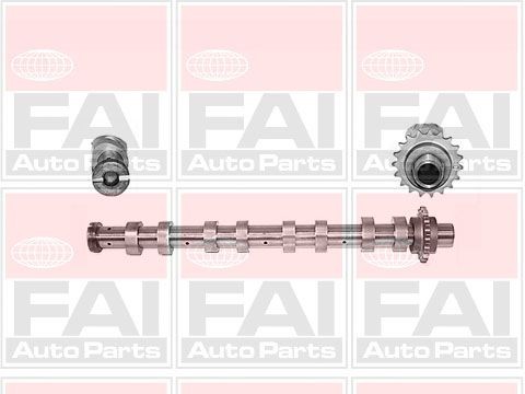 FAI AutoParts Camshaft C267 FAI AutoParts C267 MAZDA 3 camshaft cost