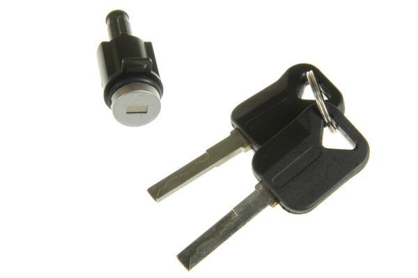 Canhão de fechadura PACOL BPD-VO026L/R PACOL BPD-VO026L/R Jogo de canhões de fechaduras VOLVO V70 2000