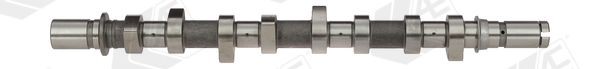 Árvore de cames AE CAM921 AE CAM921 Eixo de comando de válvulas NISSAN MICRA 2015