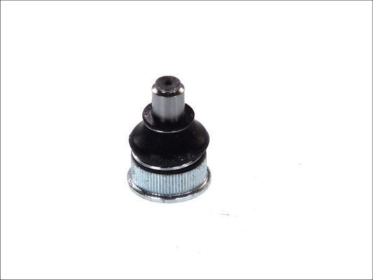 FORTUNE LINE Spindelled FZ3049 FZ3049 FORTUNE LINE spindelleder Citroen AX