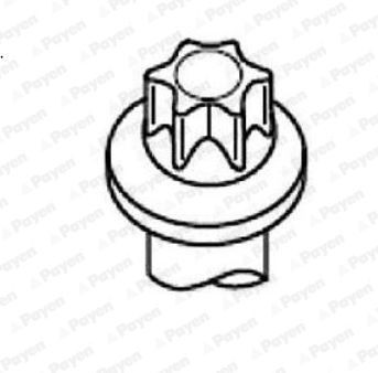 PAYEN Jogo de parafusos da cabeça do motor HBS524 Jogo de parafusos da cabeçote PAYEN Renault DUSTER HBS524