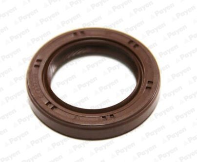 PAYEN Paraolio albero a gomiti NA5226 NA5226 Paraolio albero motore PAYEN CHEVROLET MATIZ costo