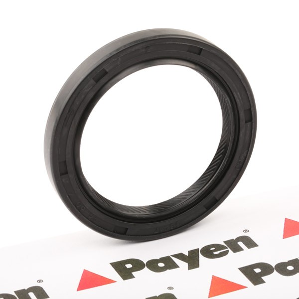 PAYEN Crankshaft seal NJ005 MITSUBISHI PAJERO / SHOGUN SPORT PAYEN crankshaft seal NJ005