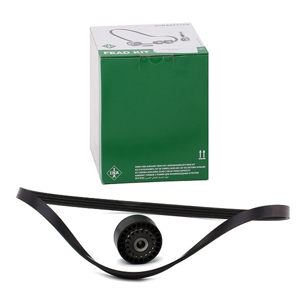 INA Kileremssæt 529 0100 10 529 0100 10 Ribremsæt INA RENAULT ARKANA