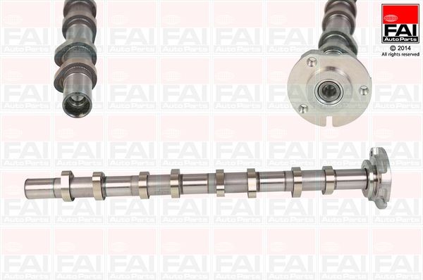 FAI AutoParts Albero a camme C336 FAI AutoParts C336 Alberi a camme LAND ROVER Freelander 2 Van (L359) originale prezzo