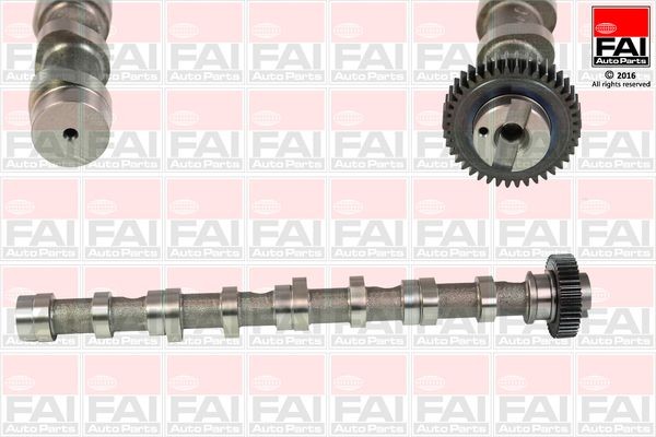 FAI AutoParts Εκκεντροφόρος άξονας C347 Εκκεντροφόρος άξονας FAI AutoParts Skoda RAPID C347