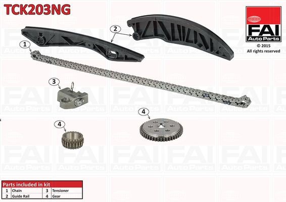 FAI AutoParts Mootori keti komplekt TCK203NG Juhtkett FAI AutoParts TERRACAN TCK203NG odav
