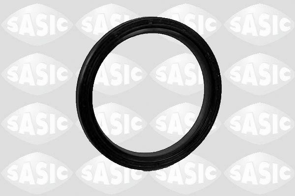 SASIC Τσιμούχα, διαφορικό 1950004 SASIC 1950004 Τσιμούχα, διαφορικό Caterham 21 γνήσια