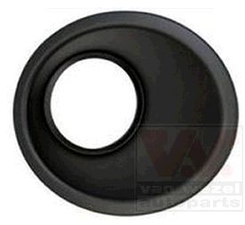 VAN WEZEL Mostrina, Paraurti 1748598 VAN WEZEL 1748598 Mostrina, Paraurti